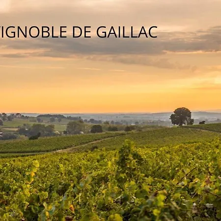 Loft Spacieux - Vue Sur Vignoble - 100m2 - Calme * Gaillac